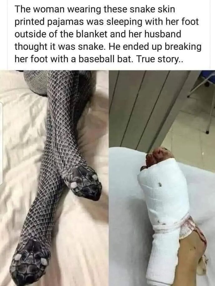 FB_IMG_1759649030901