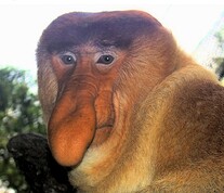 Screenshot_20251030_160822_Samsung Internet