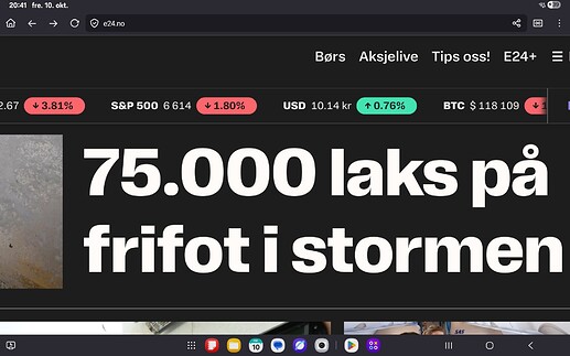 Screenshot_20251010_204126_Firefox