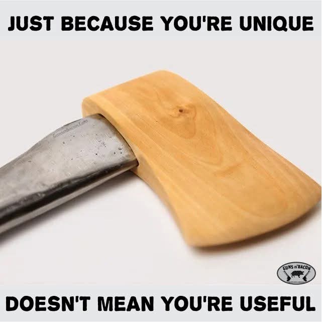 FB_IMG_1757695437303