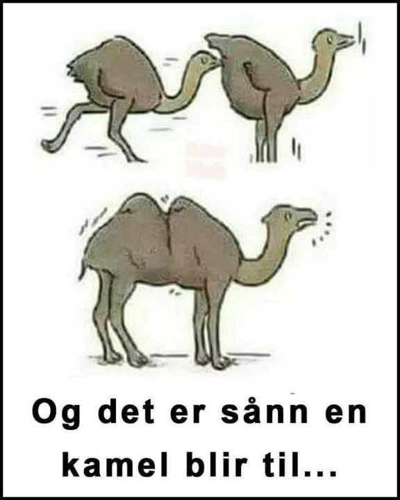 FB_IMG_1758023520114