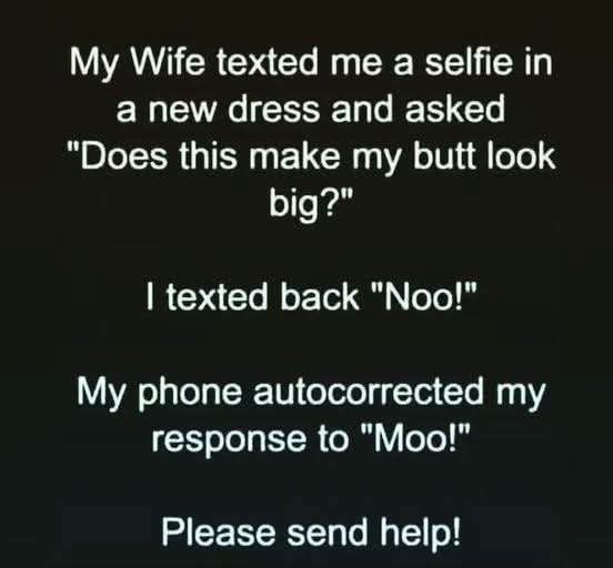 FB_IMG_1786098256204