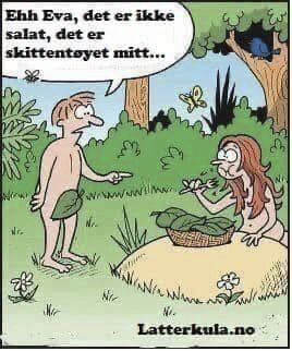 bilde