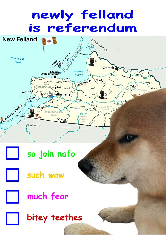 FdR9mzIXwAED7XL