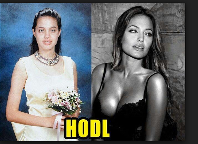 hodl