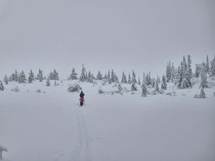 received_1422498192923798