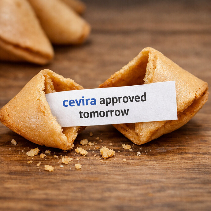 ChatGPT Image Feb 27, 2026, 08_55_28 AM