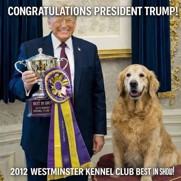 617571070_1425805802243601_8743477269410706417_n