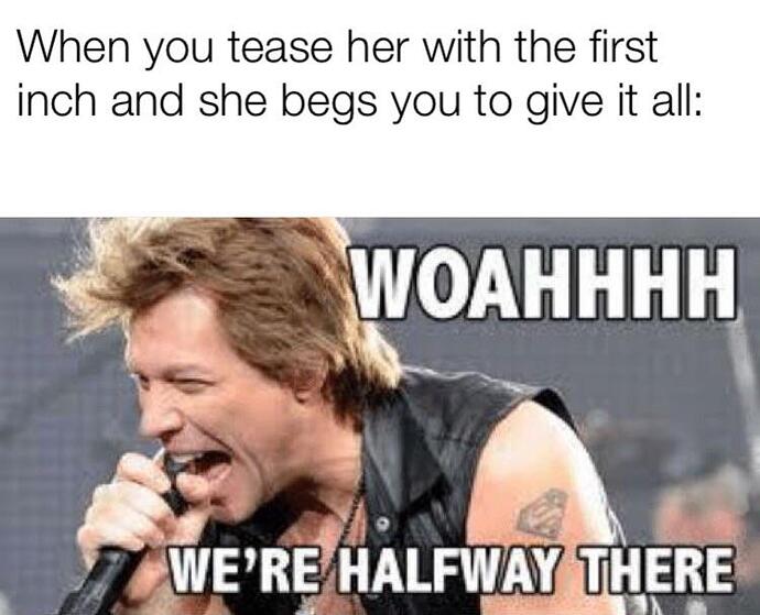 hsg4llm5qq231