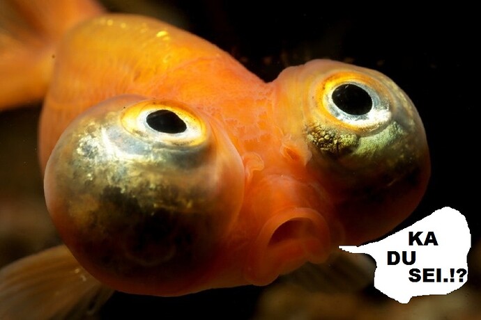 Celestial-Eye-Goldfish_Dan-Olsen_Shutterstock