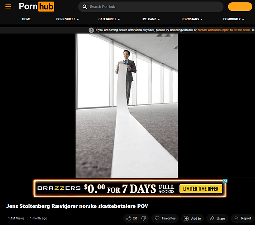 Opera Snapshot_2026-01-28_133404_www.pornhub.com
