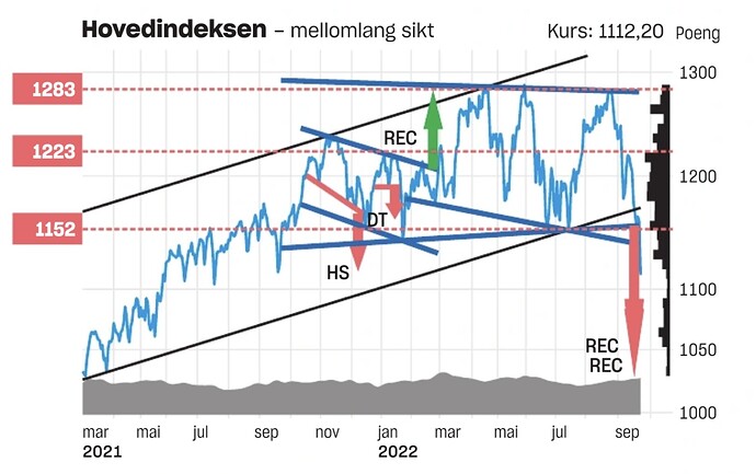 bilde