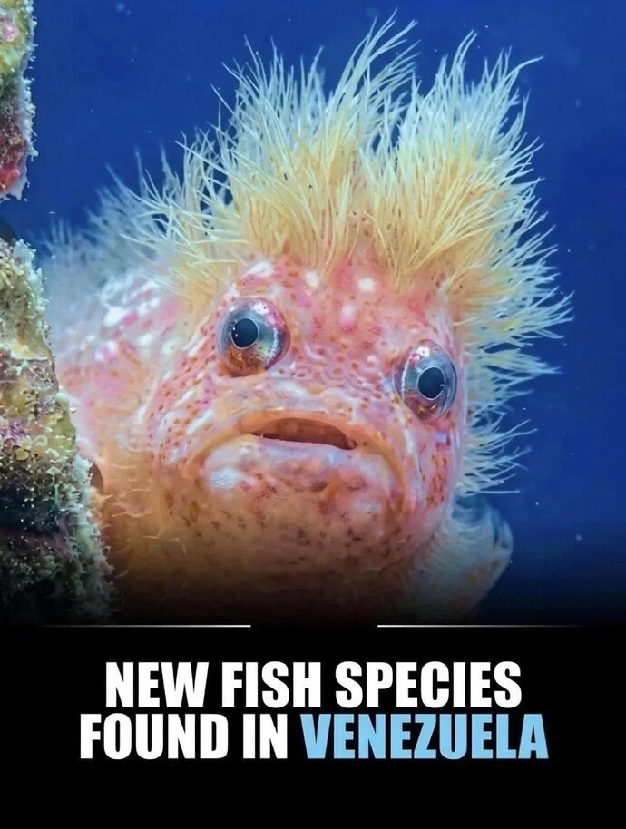 Screenshot_20260404_000031_X