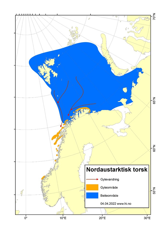 Torsk_Nordaustarktisk