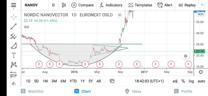 Screenshot_20210311_184202_com.tradingview.tradingviewapp