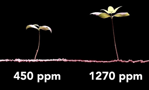 co2-ppm-growth-comparison