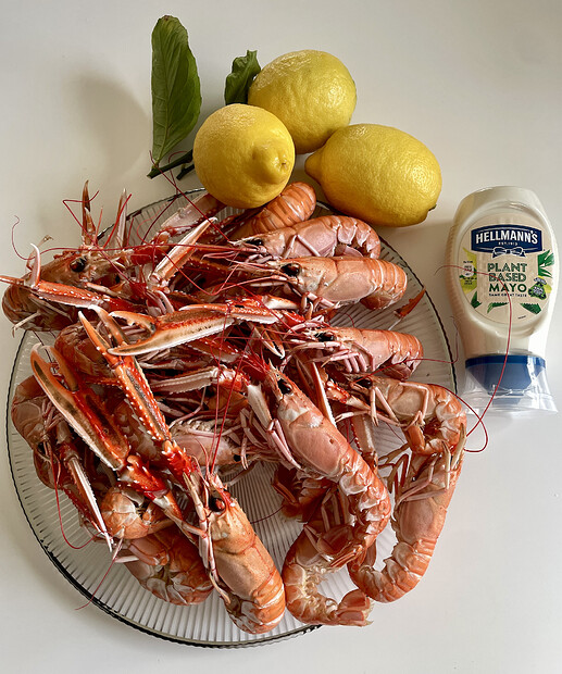 Skjermbilde 2026-03-06 kl. 16.23.51