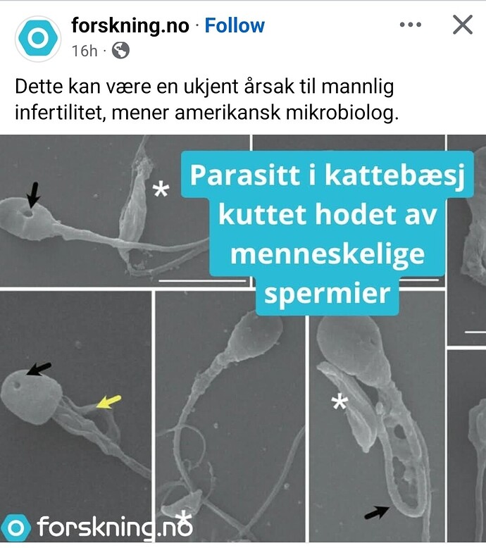 Screenshot_20250610_130223_Facebook
