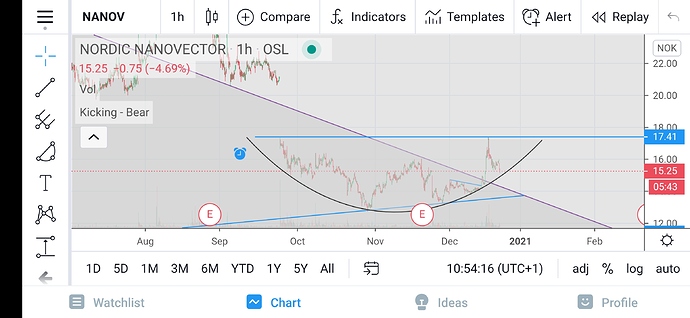 Screenshot_20201221_105416_com.tradingview.tradingviewapp