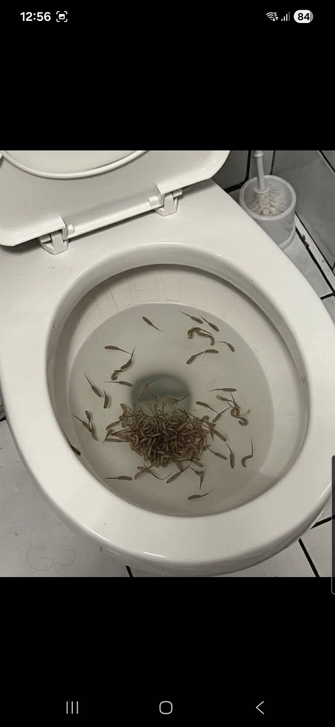 Screenshot_20260121_125602_Facebook