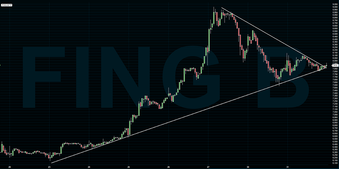 fing%20b