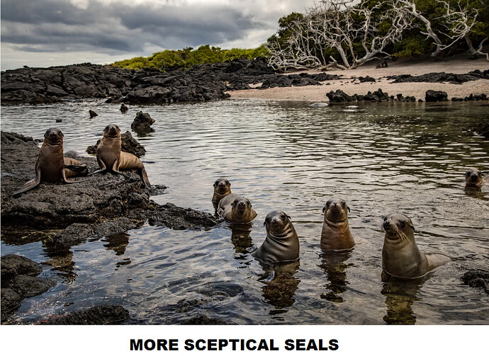 Screenshot 2021-11-02 at 16-03-00 Ecuador says it will extend protections around the Galápagos Islands