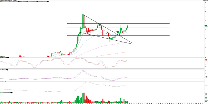 PHO-Daily