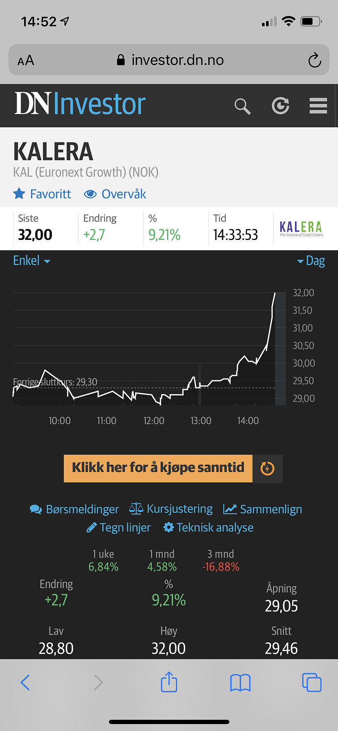 bilde