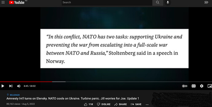 Screenshot 2022-08-07 at 15-06-19 Amnesty Int'l turns on Elensky. NATO cools on Ukraine. Turbine panic. Jill worries for Joe. Update 1