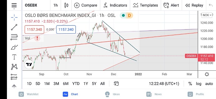 Screenshot_20211215_122250_com.tradingview.tradingviewapp