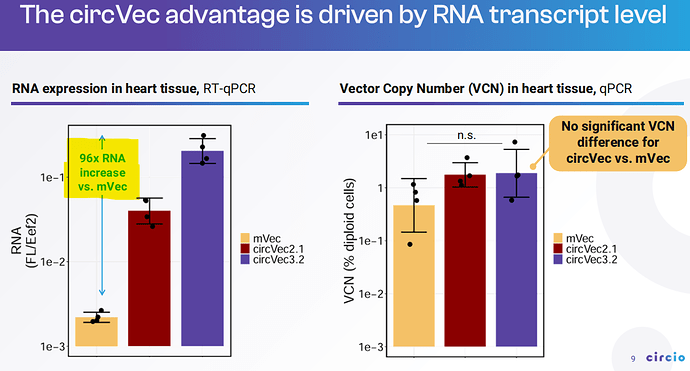 Circio 96x