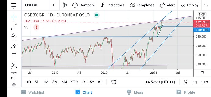 Screenshot_20210303_145229_com.tradingview.tradingviewapp