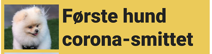 Skjermbilde 2020-02-28 kl. 18.41.24