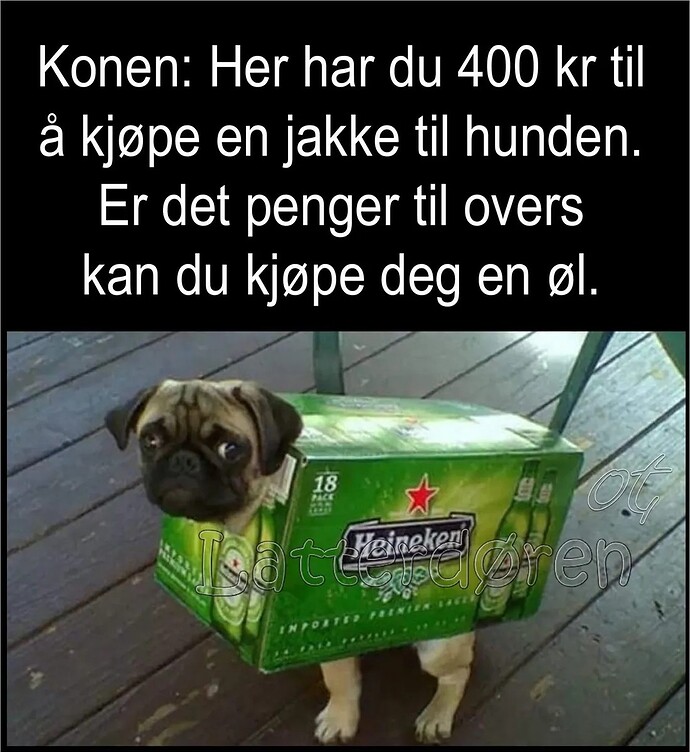 17678221940273454264085981782509