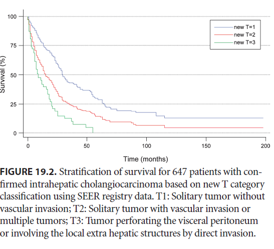 Intrahepatic%20CCA%20overlevelse%20AJCC%20staging1