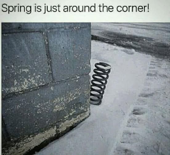 FB_IMG_1738858475644