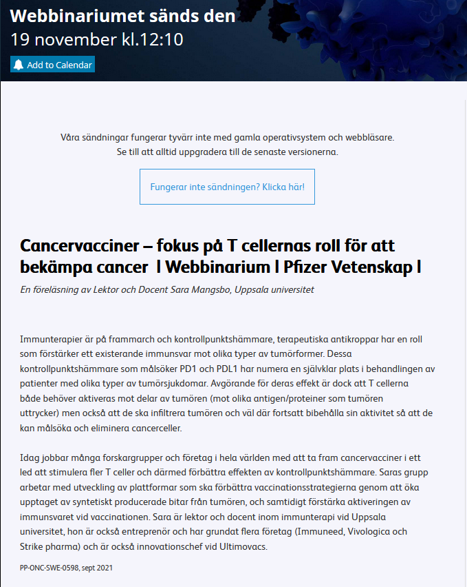 bilde