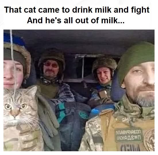 FB_IMG_1747610429365