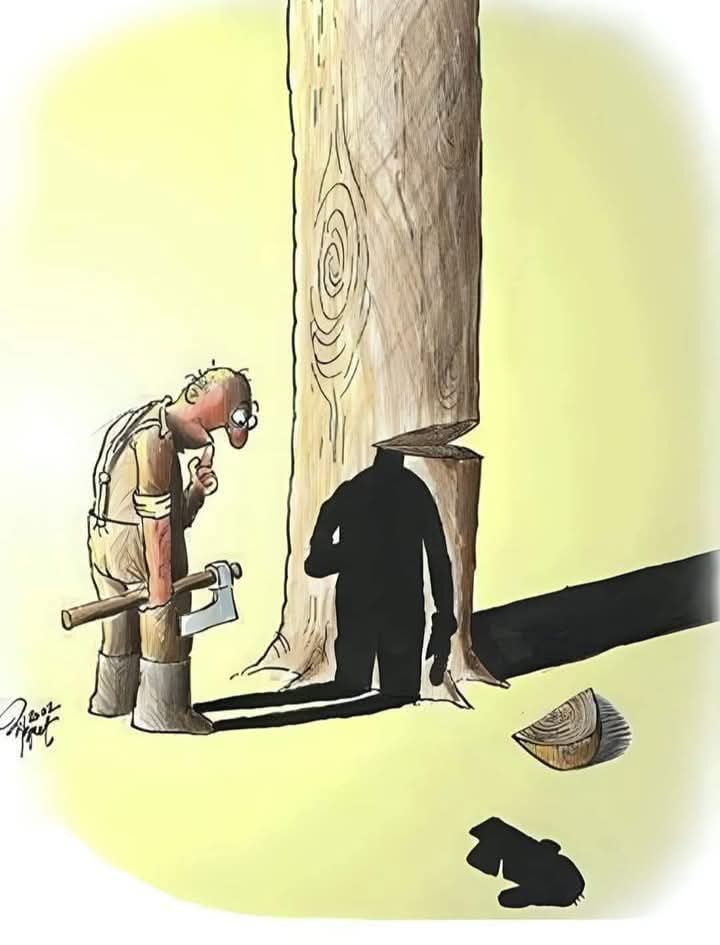 FB_IMG_1744187665221