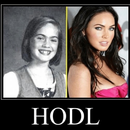 hodl