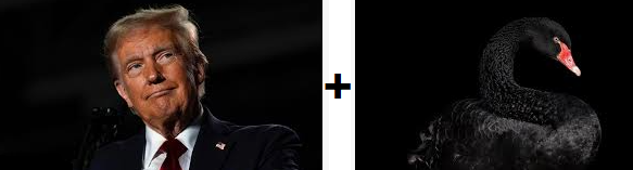 Opera Snapshot_2026-01-16_191010_www.google.com