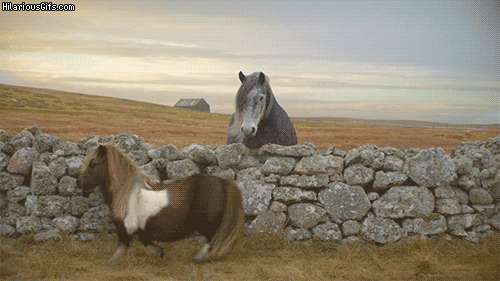 92879cb2dee64e404515d2d894cb842f