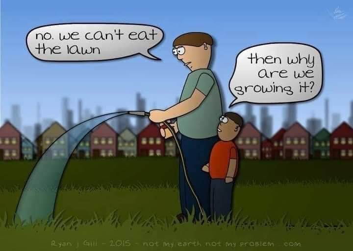 FB_IMG_1664289849360