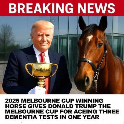 616196255_1425805215576993_123384208128506384_n