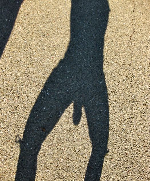 vulgar shadow