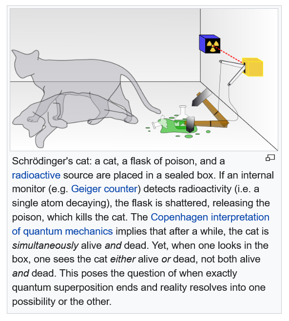 Screenshot 2021-08-29 at 13-04-26 Schrödinger's cat - Wikipedia