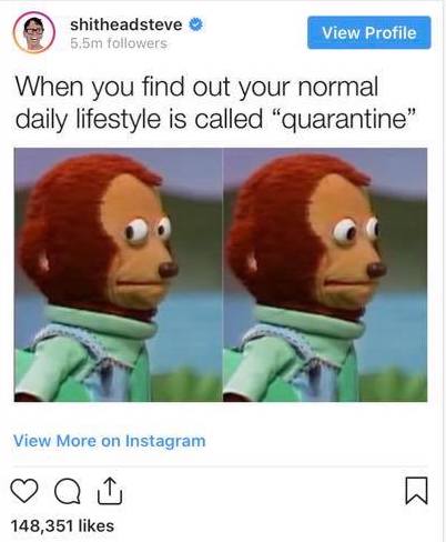 17637605088181311993605946178590