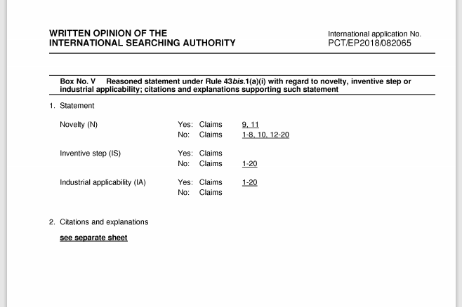 Skjermbilde Patent Espacenet Nano2