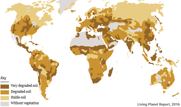 global-soil-degradation